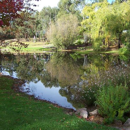 Granite Gardens Cottages & Lake Retreat Stanthorpe Extérieur photo