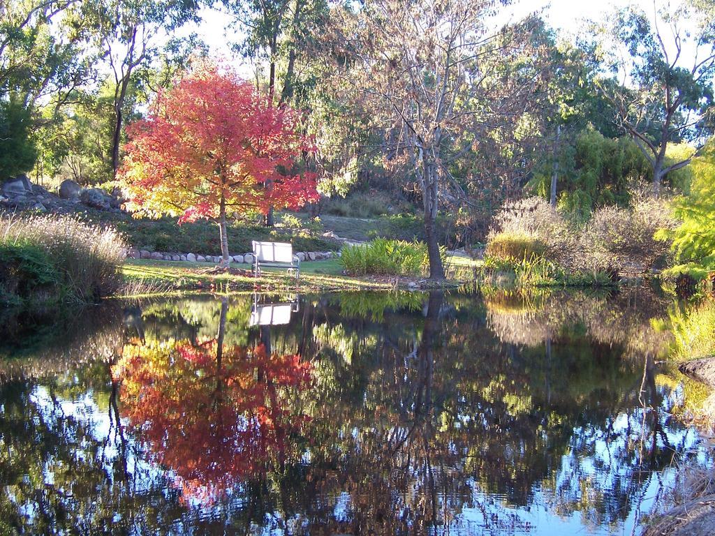 Granite Gardens Cottages & Lake Retreat Stanthorpe Extérieur photo