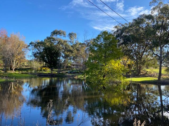 Granite Gardens Cottages & Lake Retreat Stanthorpe Extérieur photo