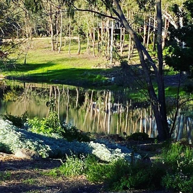 Granite Gardens Cottages & Lake Retreat Stanthorpe Extérieur photo