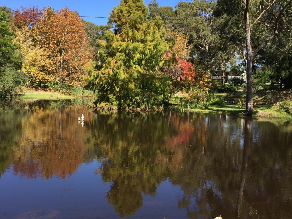 Granite Gardens Cottages & Lake Retreat Stanthorpe Extérieur photo