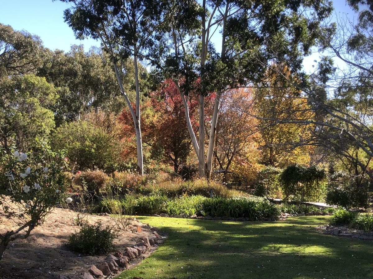 Granite Gardens Cottages & Lake Retreat Stanthorpe Extérieur photo
