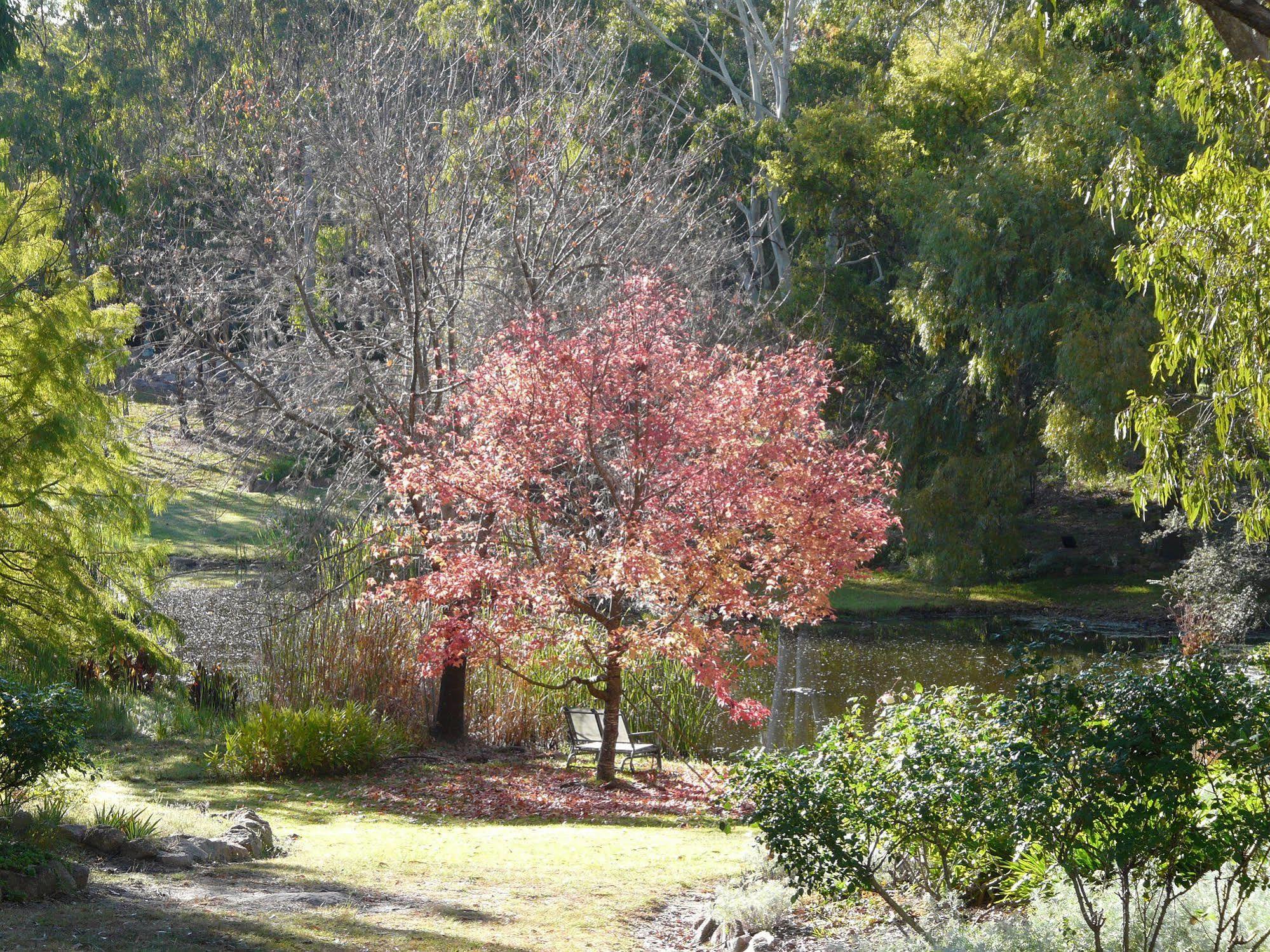 Granite Gardens Cottages & Lake Retreat Stanthorpe Extérieur photo